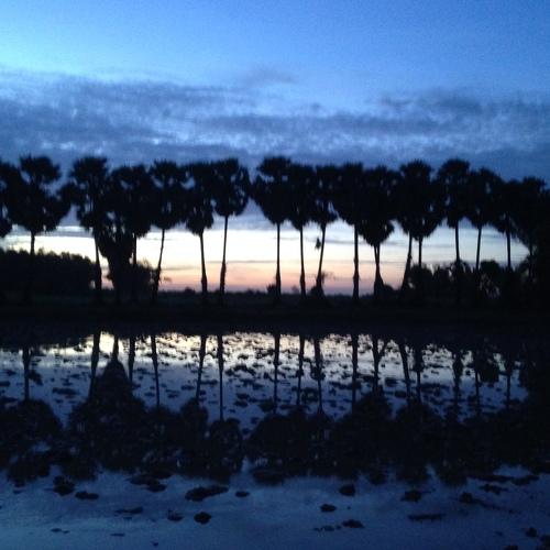 Cambodia. Sunset.