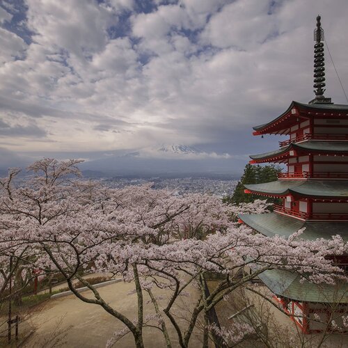 Chureito Pagoda