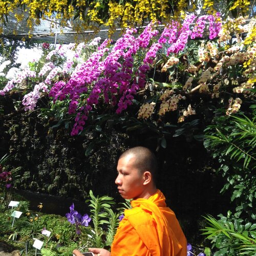 Monk