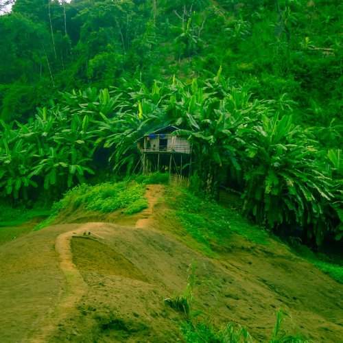 Green House