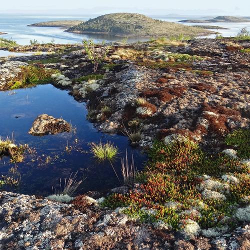 Острова Белого моря