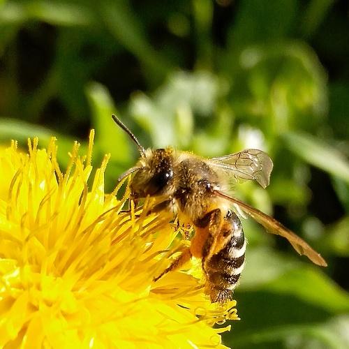 Photo #1750332