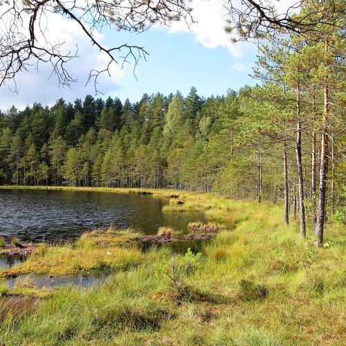 Photo #1751816