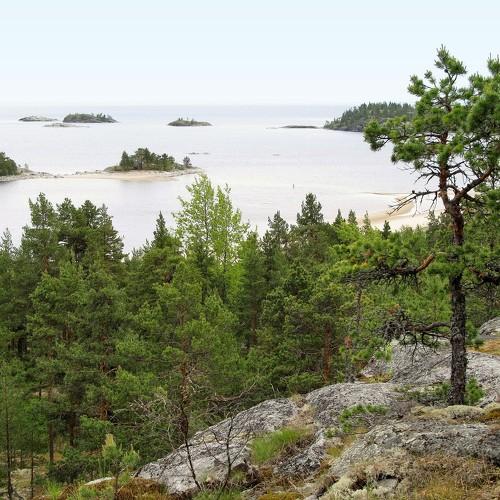 Photo #1751818