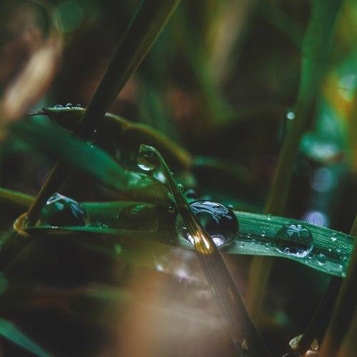 Photo #1754424