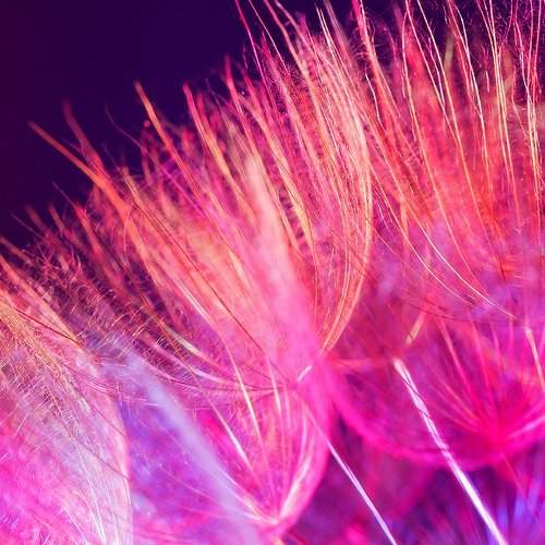 Photo #1754780
