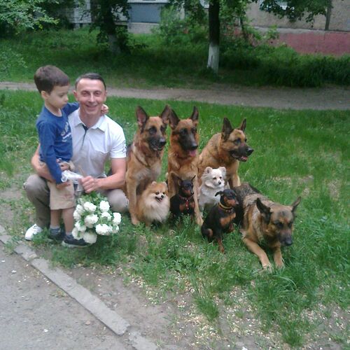 Идиллия,как она есть.