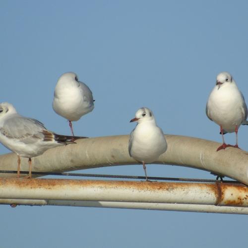 Photo #1756975
