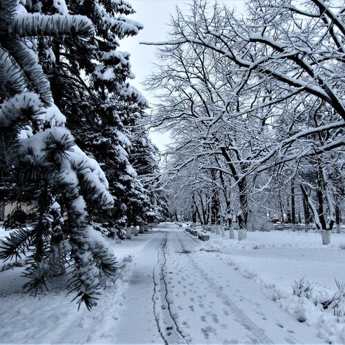 Winter