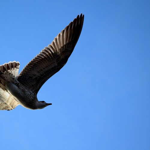 Photo #1757354