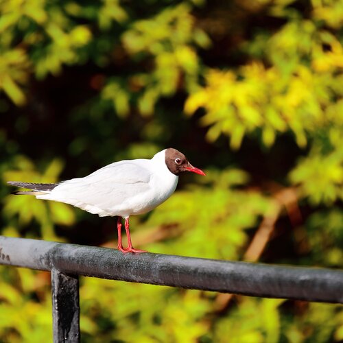 Photo #1757374