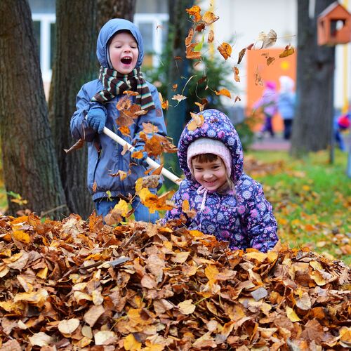 Photo #1757389