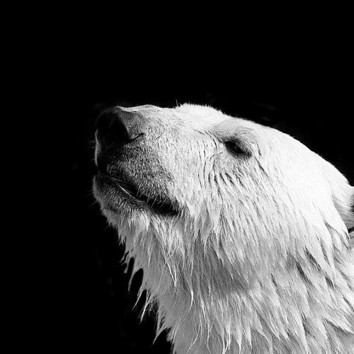 Photo #1757797