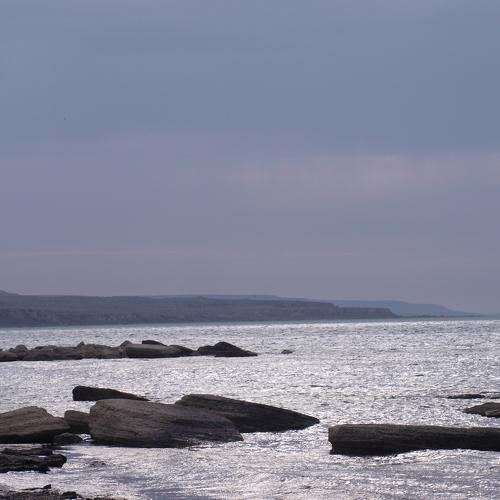 Photo #1758069