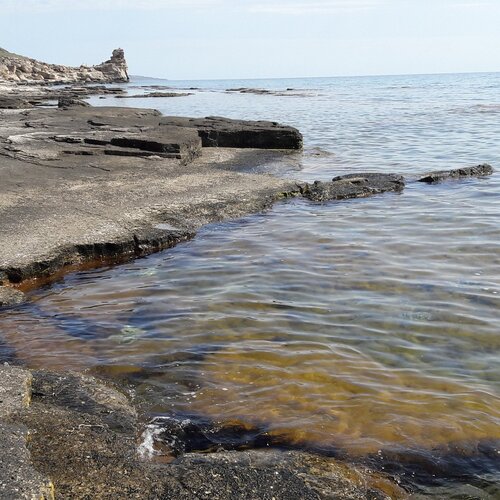 Photo #1758075