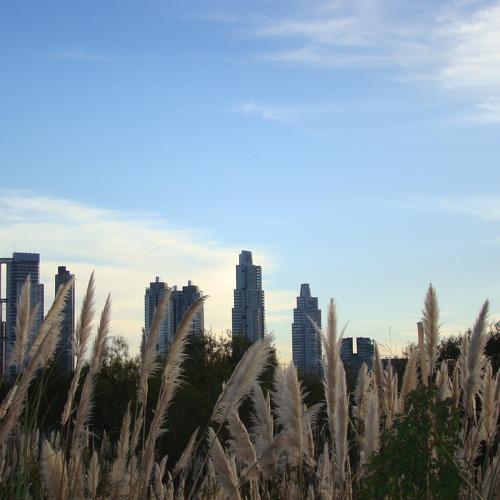 Photo #1758298