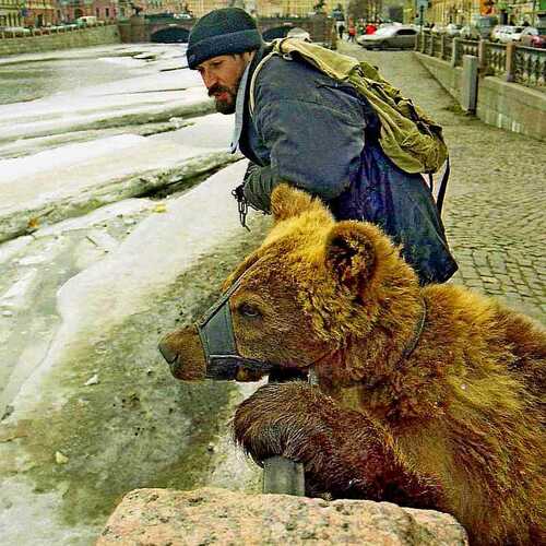 Весна на Фонтанке,скоро в лес пойдем.