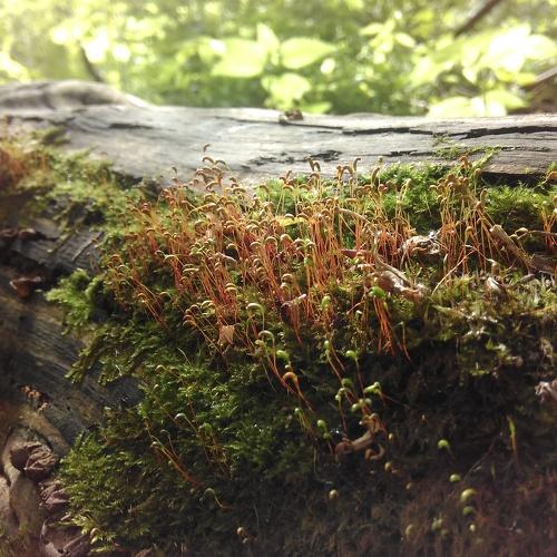 Photo #1759547