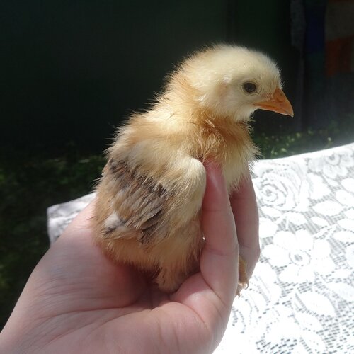 Photo #1759608