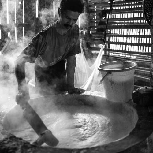 Cooking Soybean Milk for Tofu