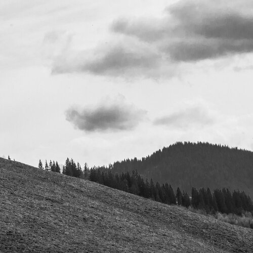 Photo #1760004