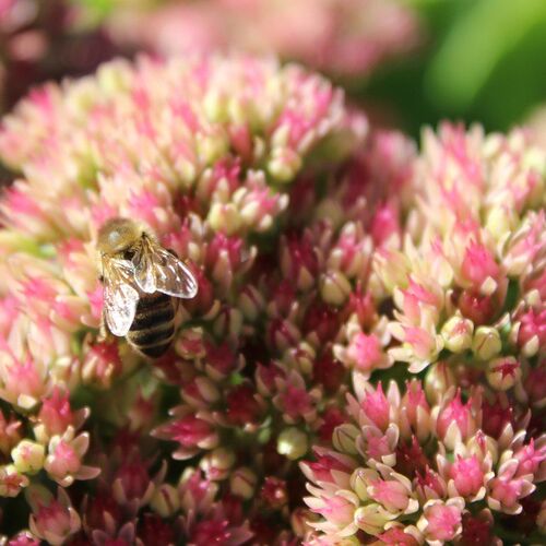 Photo #1760512