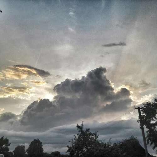 Photo #1760513