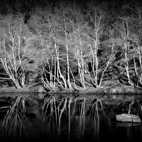 Rio Paiva
