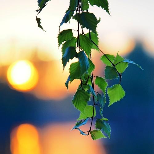 Photo #1761412