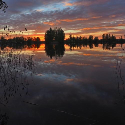 Photo #1761415