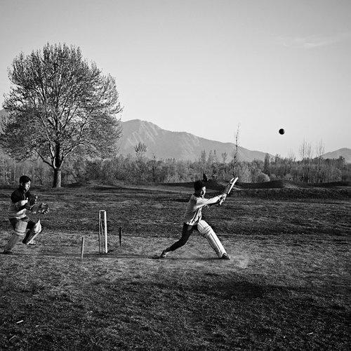 Cricket