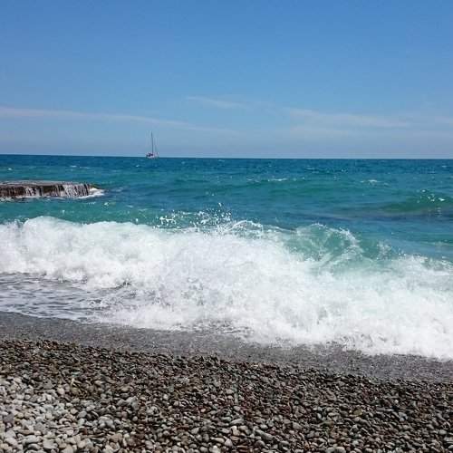 Photo #1764665