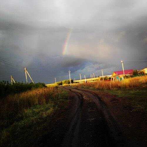 Photo #1765306