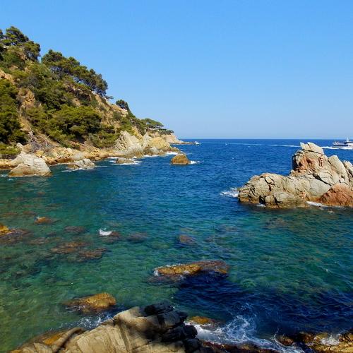 Photo #1766102