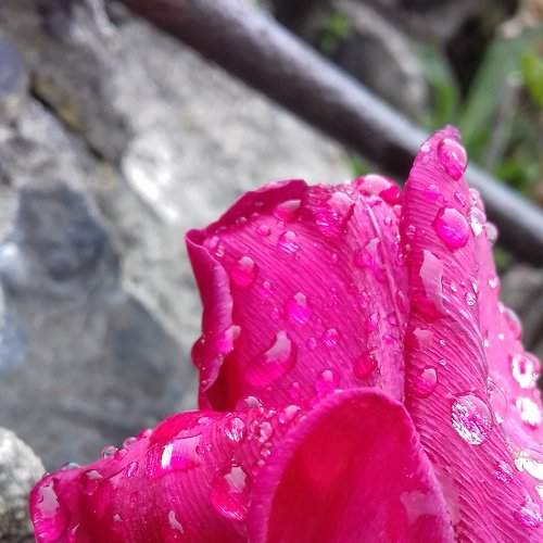 Photo #1766317