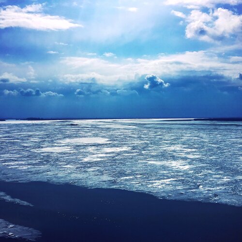 Photo #1767604