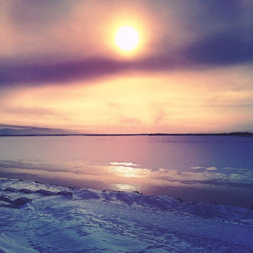 Photo #1767620