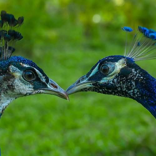 Beauty of Nature