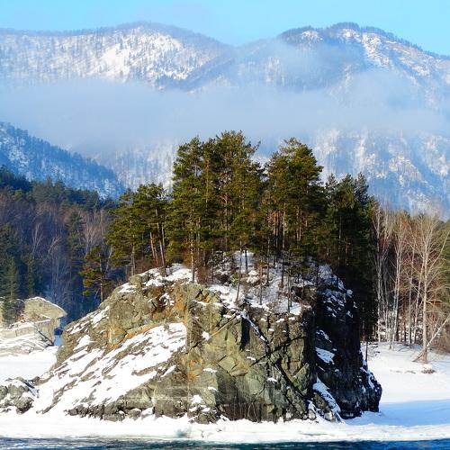 Photo #1768272