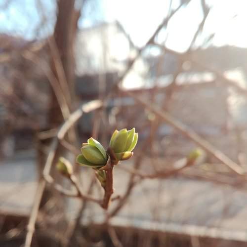 Photo #1768397