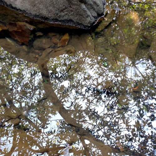 Photo #1769123