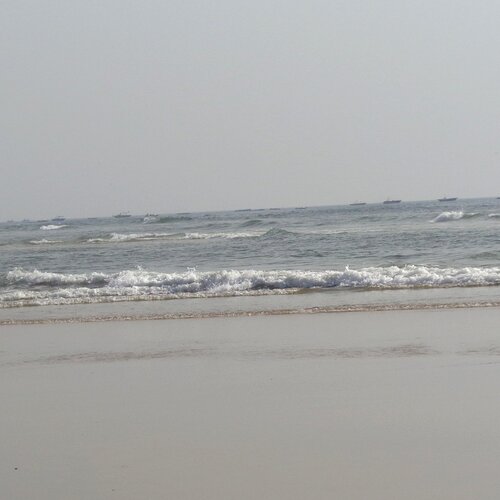 Photo #1769136
