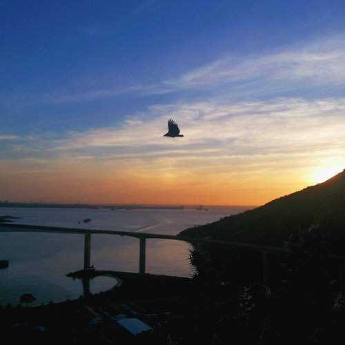 Photo #1769687
