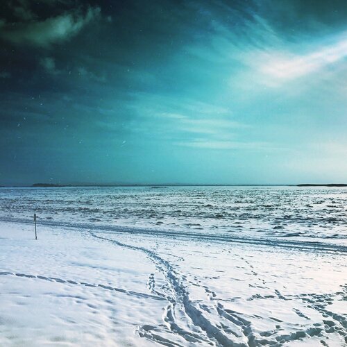 Photo #1770357