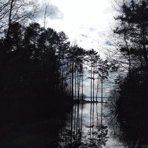 Photo #1771225