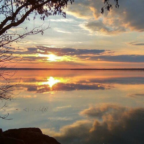 Photo #1771229