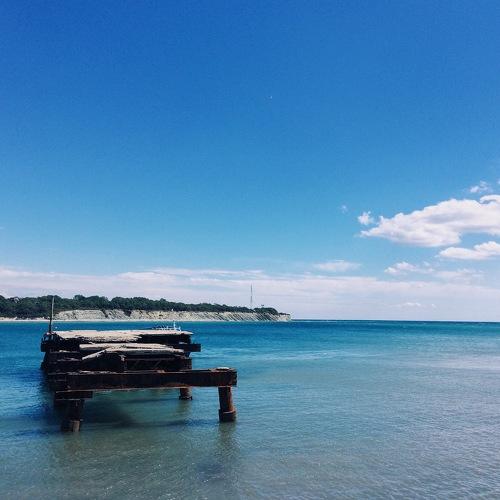 Photo #1771269