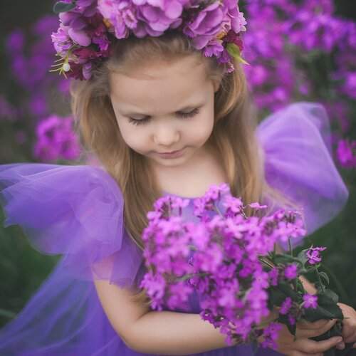 Сиреневые грёзы