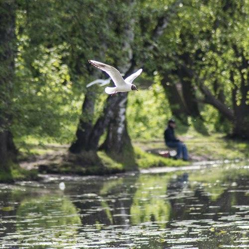 Photo #1773446