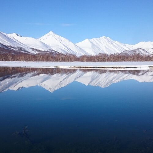 Зеркальное отражение